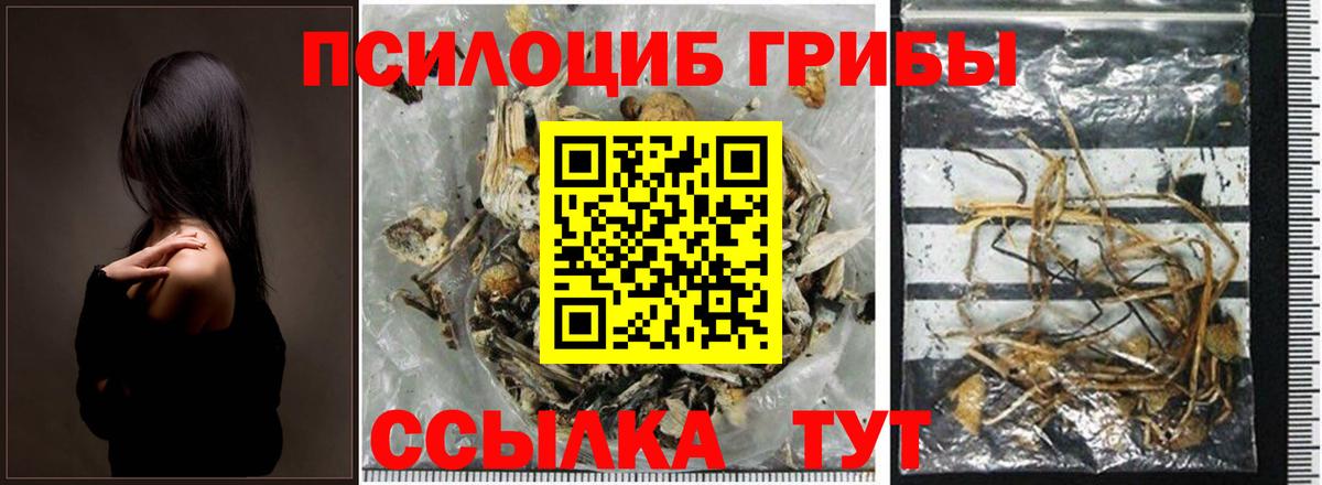 Псилоцибиновые грибы Psilocybe  Галлюциногенные грибы MAGIC MUSHROOMS  Дзержинск  Вход с VPN 